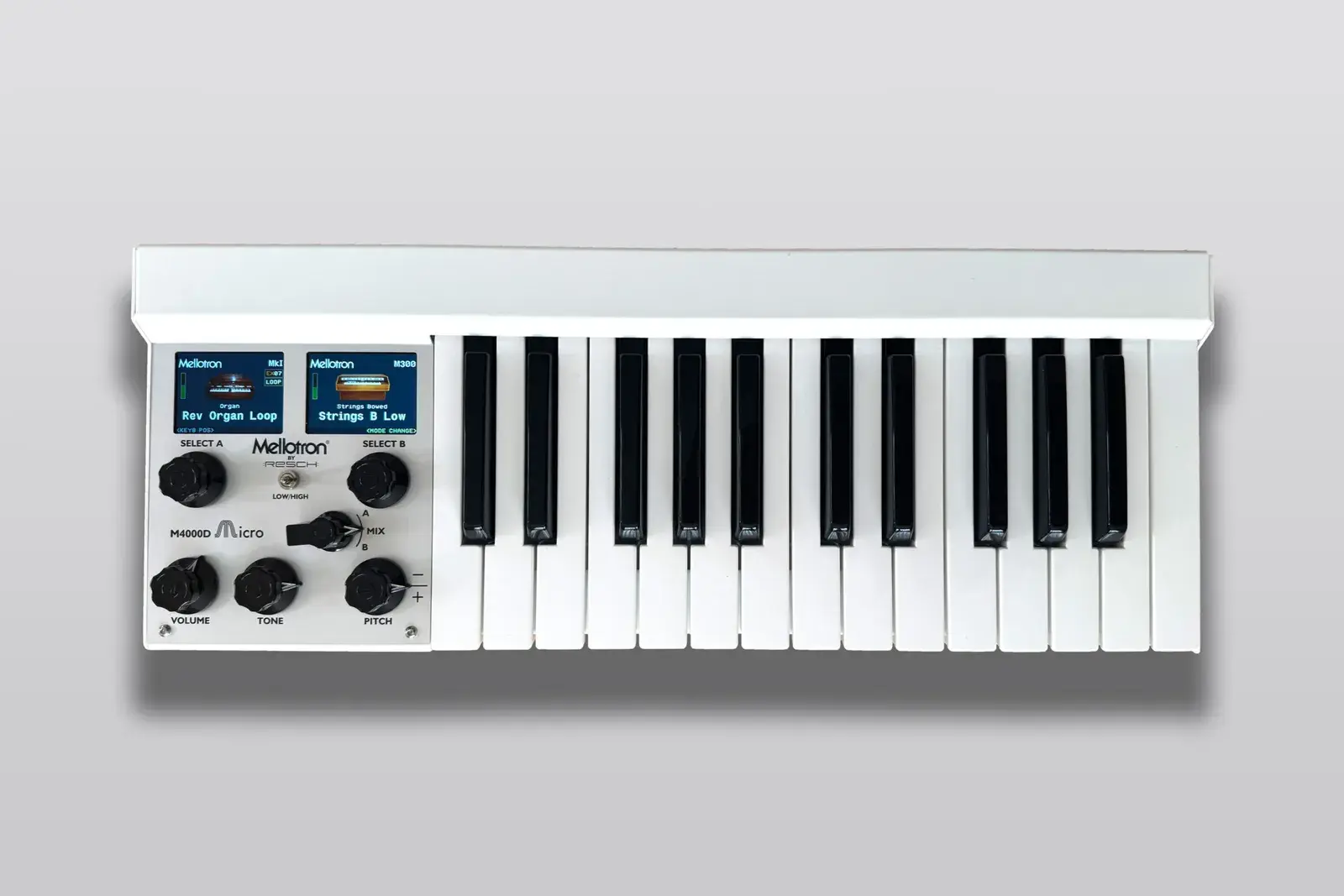 Mellotron M4000D Micro stage keyboard